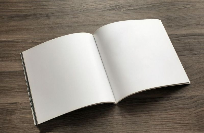 滑石粉在造紙行業(yè)中的應用研究(圖2)